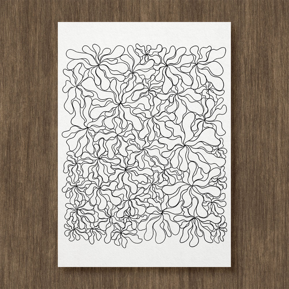 Chrysanthemums Pattern Coloring Page