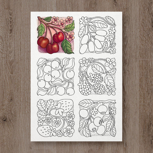 Mini Boxes of Berries Coloring Page